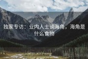 独家专访：业内人士谈海角，海角是什么食物