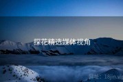探花精选媒体视角
