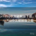 Proburn Pro中文破解版下载，Proburn Pro中文破解版下载