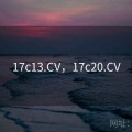 17c13.CV，17c20.CV