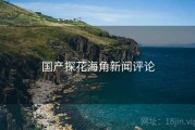 国产探花海角新闻评论