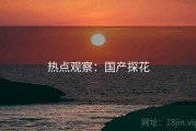 热点观察：国产探花