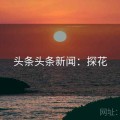 头条头条新闻：探花