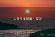 头条头条新闻：探花