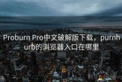 Proburn Pro中文破解版下载，purnhurb的浏览器入口在哪里