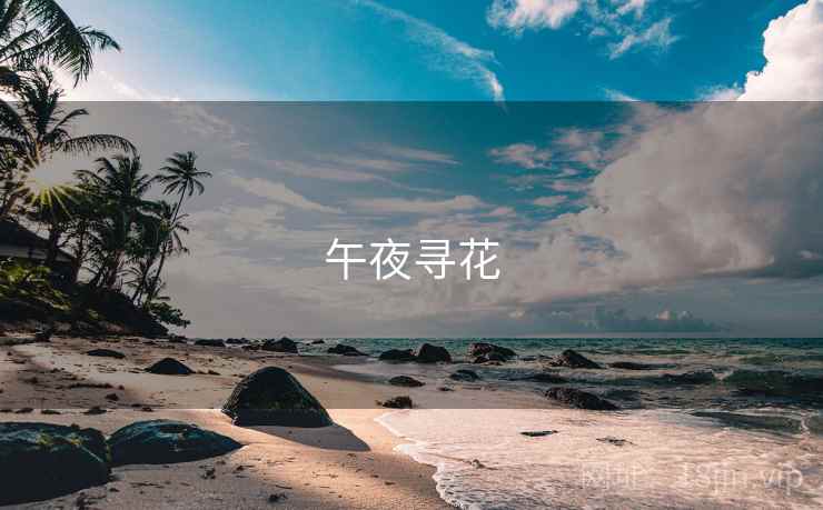 午夜寻花