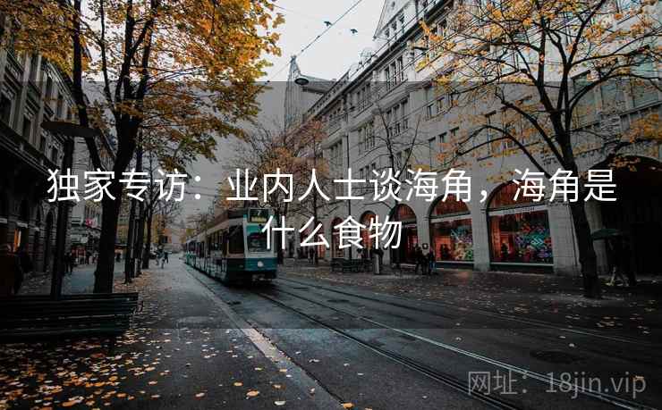 独家专访：业内人士谈海角，海角是什么食物