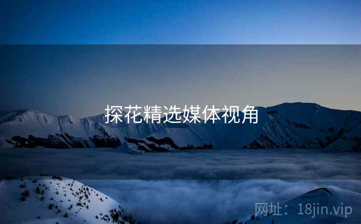 探花精选媒体视角