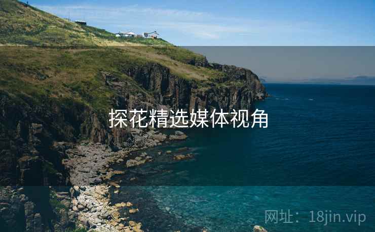 探花精选媒体视角