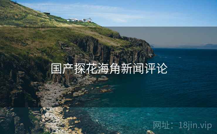 国产探花海角新闻评论
