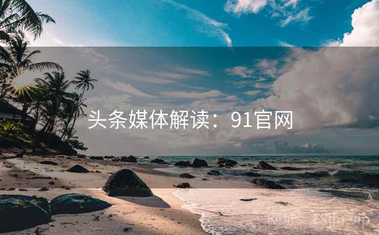 头条媒体解读：91官网