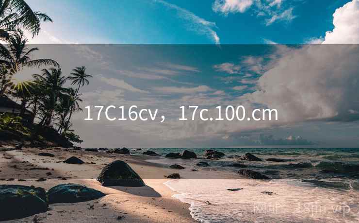17C16cv，17c.100.cm
