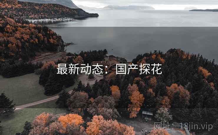 最新动态：国产探花