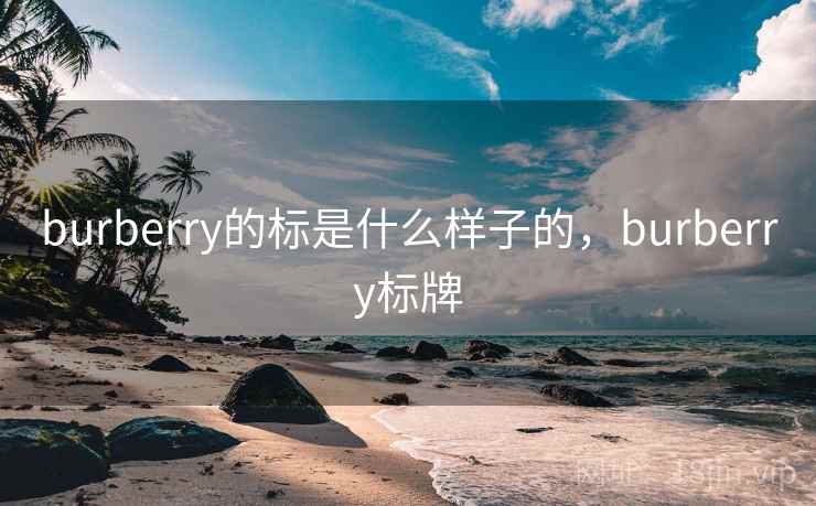 burberry的标是什么样子的，burberry标牌