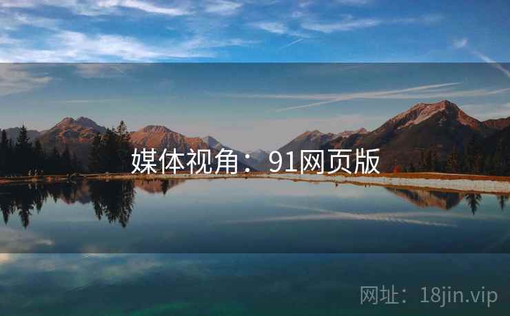 媒体视角：91网页版