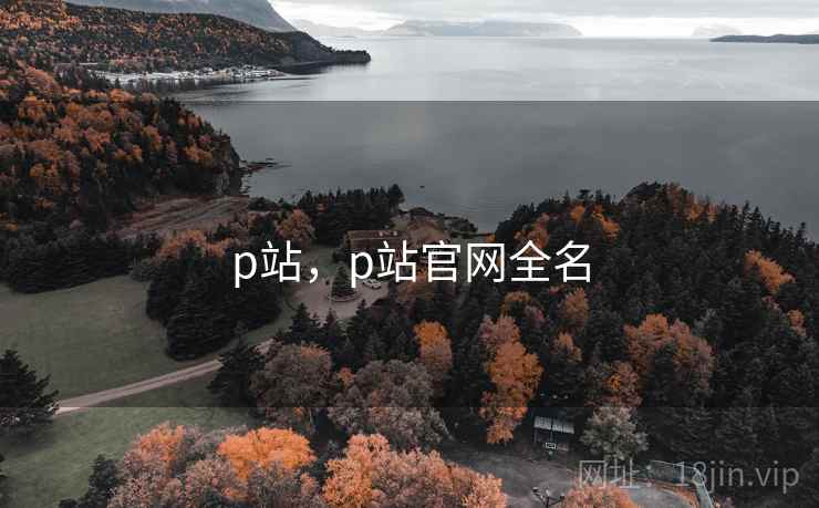 p站，p站官网全名