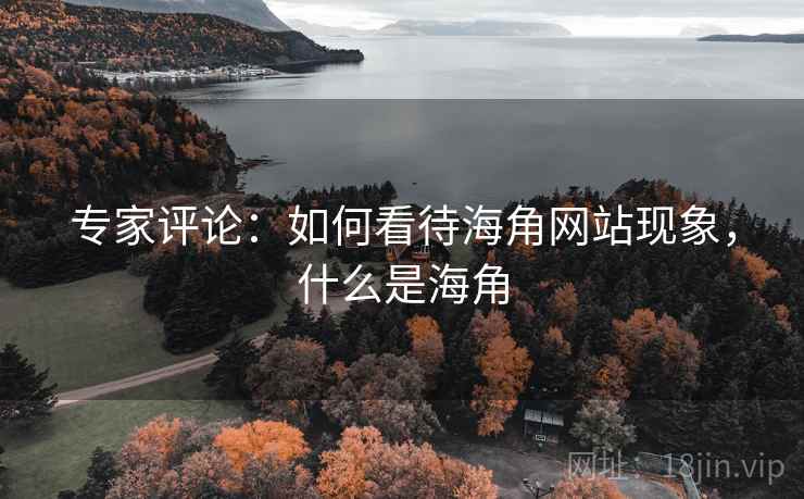专家评论：如何看待海角网站现象，什么是海角