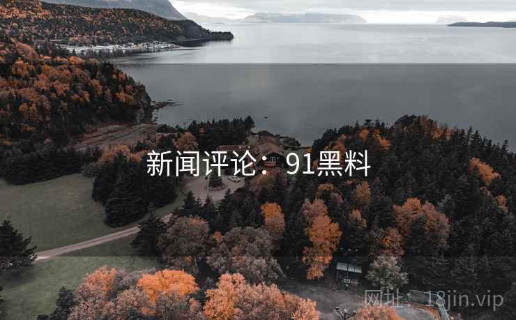 新闻评论：91黑料