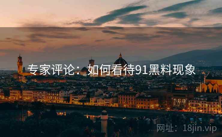 专家评论：如何看待91黑料现象