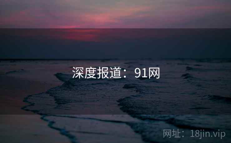 深度报道：91网