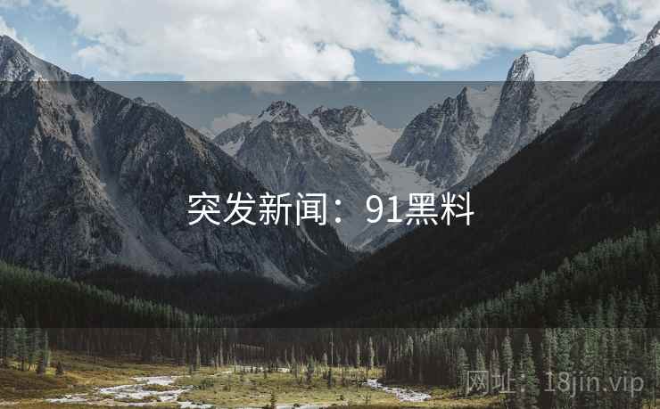 突发新闻：91黑料