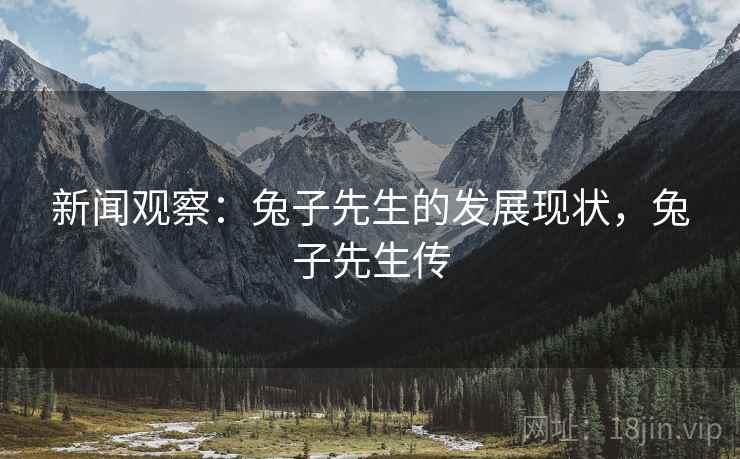 新闻观察：兔子先生的发展现状，兔子先生传