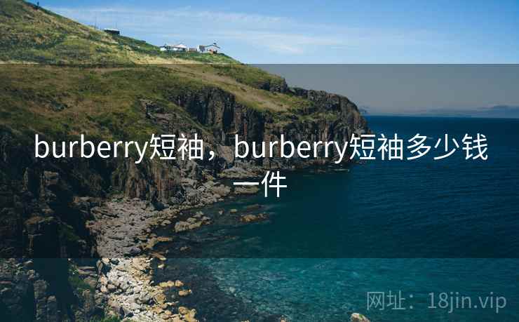 burberry短袖，burberry短袖多少钱一件