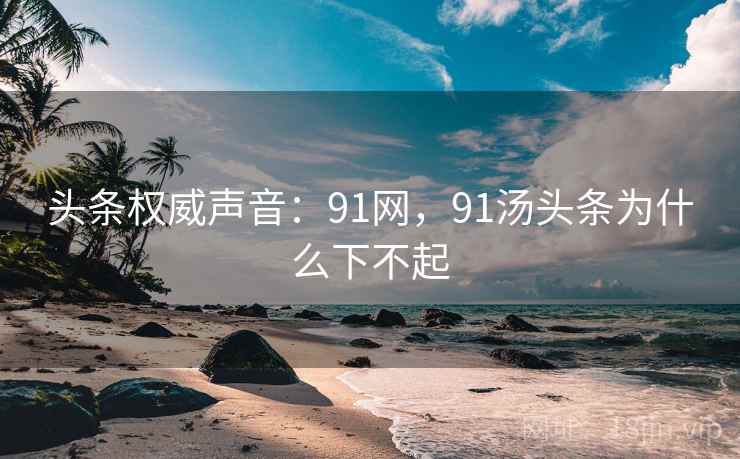 头条权威声音：91网，91汤头条为什么下不起