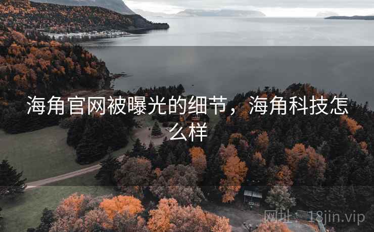 海角官网被曝光的细节，海角科技怎么样