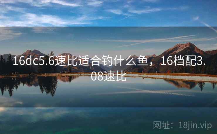 16dc5.6速比适合钓什么鱼，16档配3.08速比