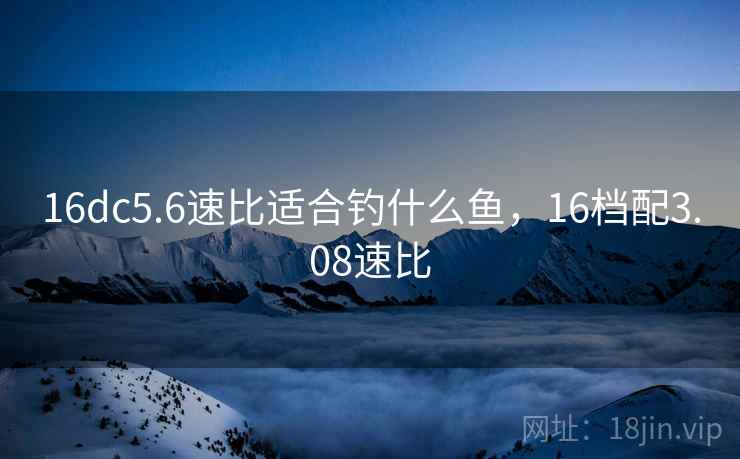 16dc5.6速比适合钓什么鱼，16档配3.08速比