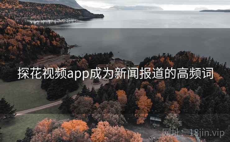 探花视频app成为新闻报道的高频词