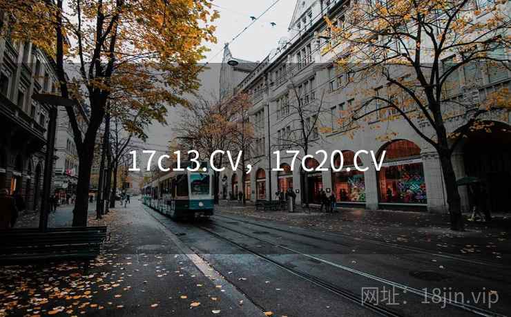 17c13.CV，17c20.CV