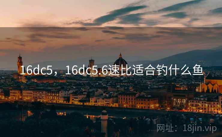 16dc5，16dc5.6速比适合钓什么鱼