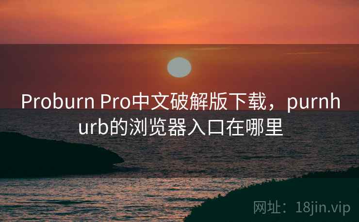 Proburn Pro中文破解版下载，purnhurb的浏览器入口在哪里